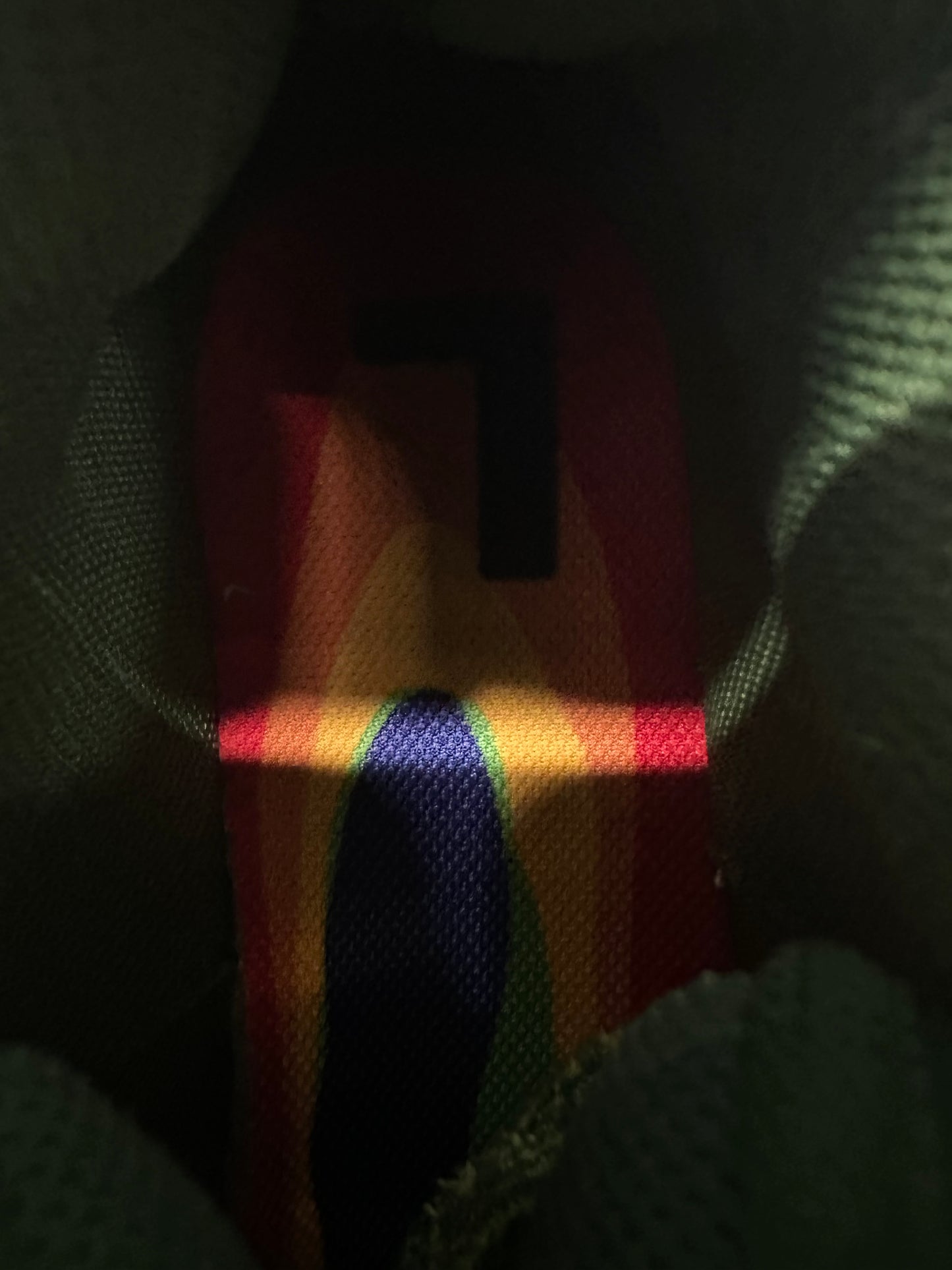 Nike CPFM Flea 1 Cactus Plant Flea Market Overgrown Sz 11.5