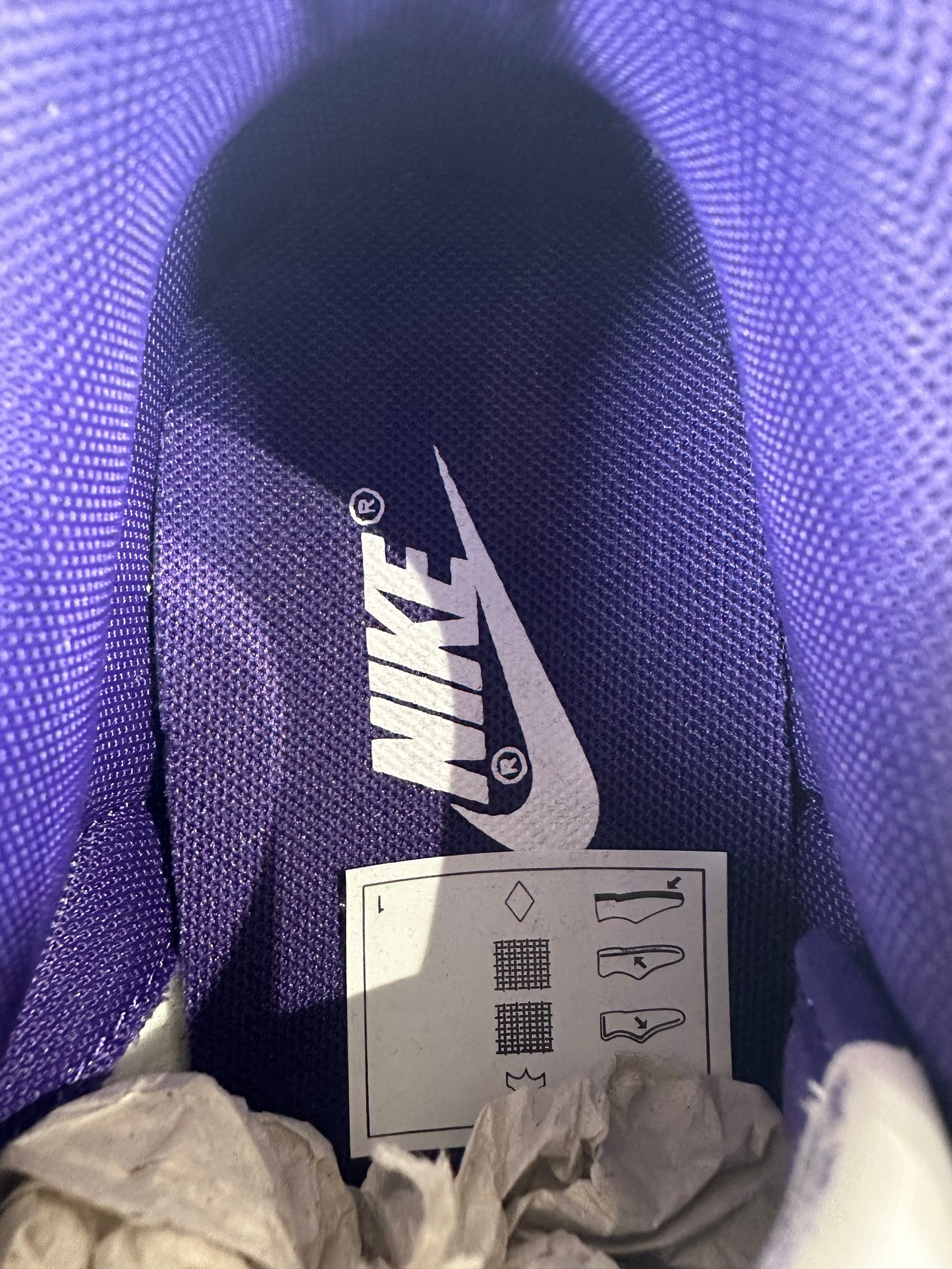 Nike Dunk Low Championship Court Purple Sz 7.5 DS