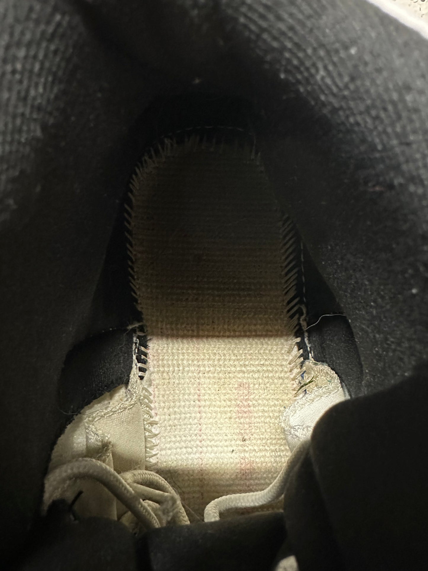 Air Jordan 12 Blueberry Sz 9