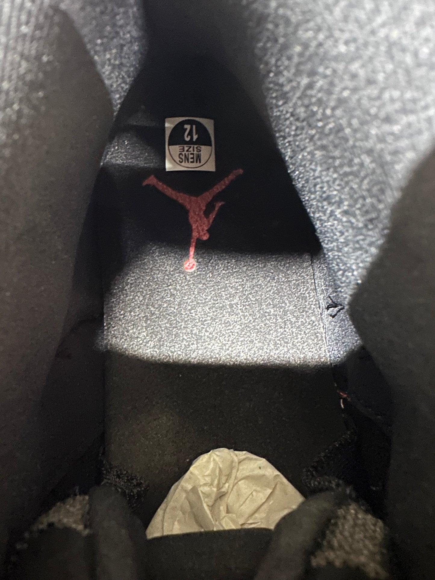 Air Jordan 12 Flu Game Sz 12 DS