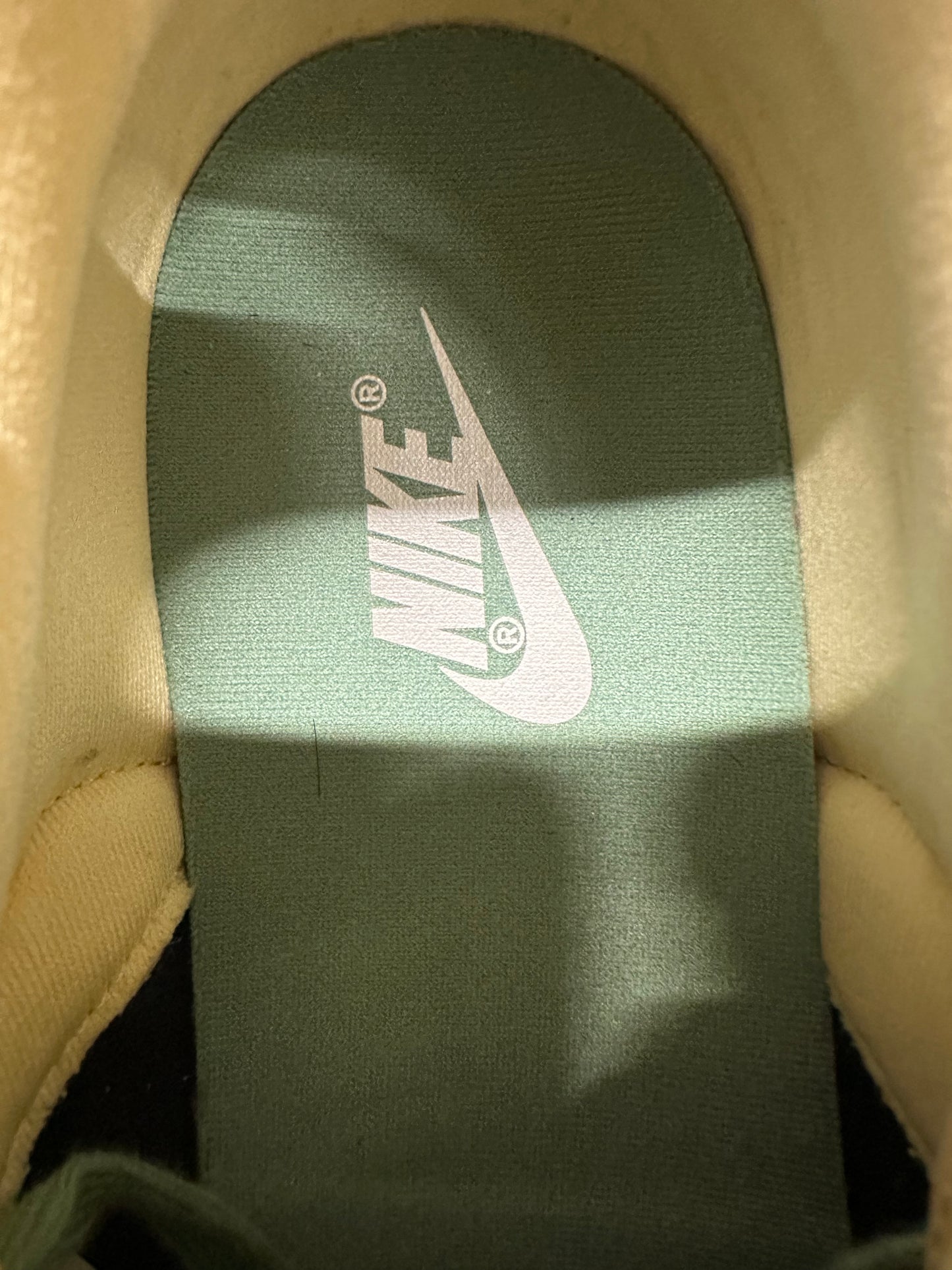 Nike Dunk Low Rooted In Peace Sz 10.5