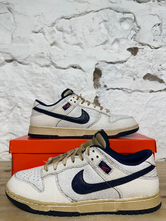 Nike Dunk Low Stranger Things Phantom Sz 13