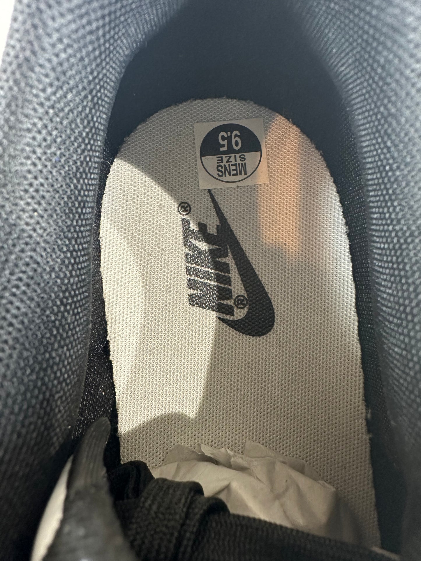 Nike Dunk Low Panda Sz 9.5 DS