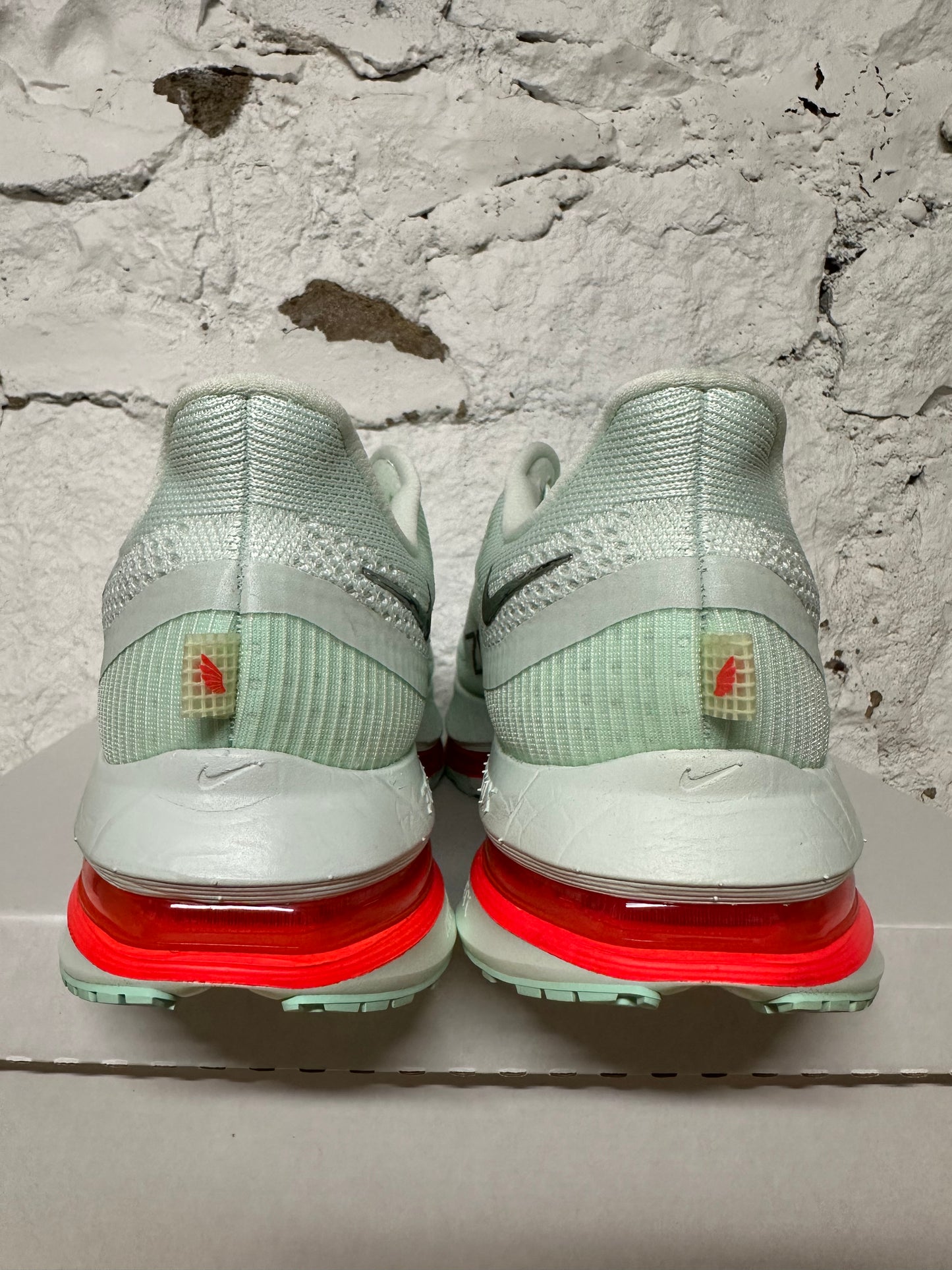 Nike Pegasus Premium Barely Green Sz 11