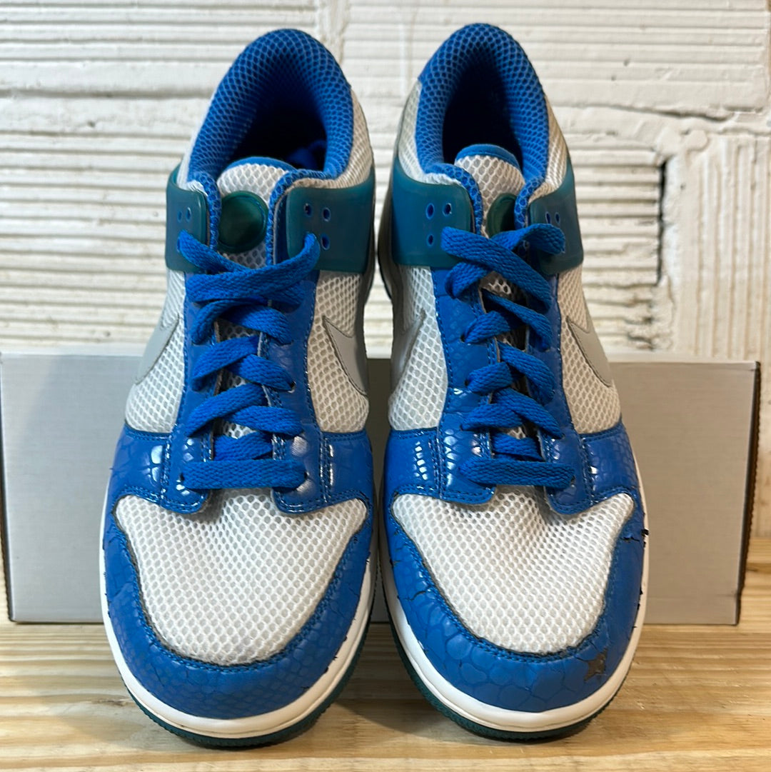 Nike Dunk Low Sample Sz 9