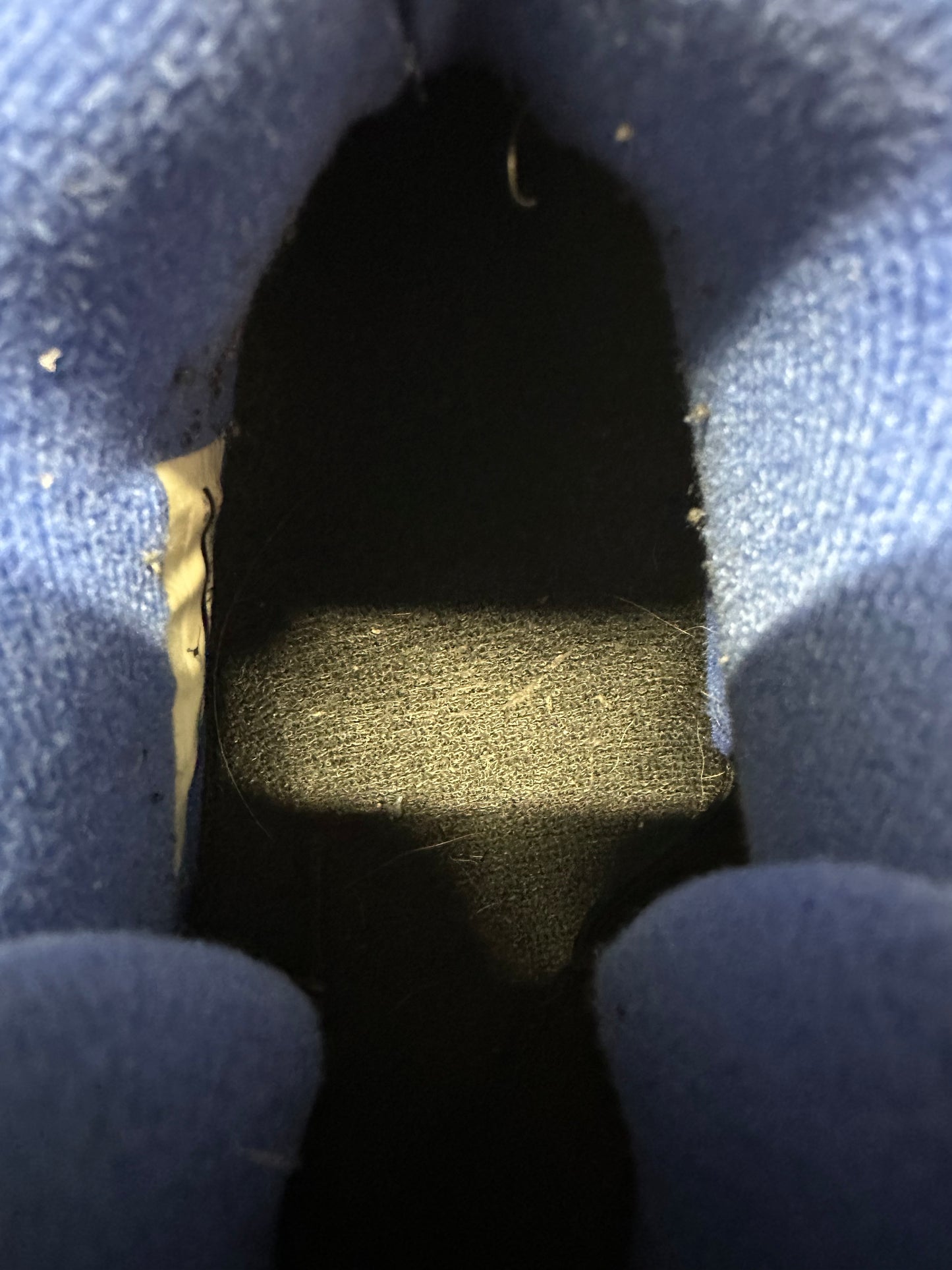 Air Jordan 4 Cavs Sz 13