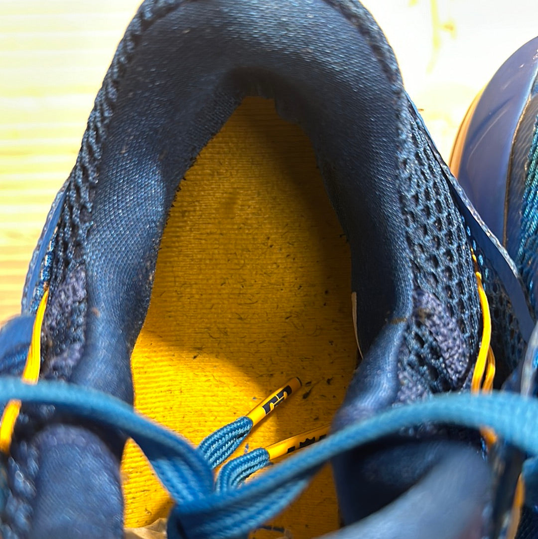Nike LeBron 12 Low Entourage Sz 13