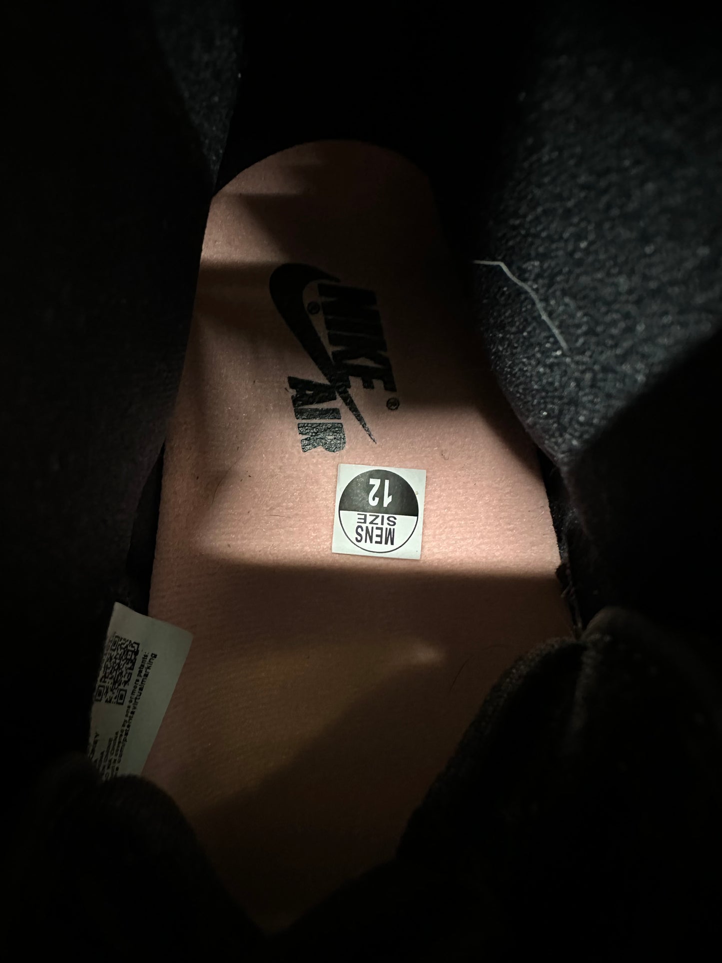 Air Jordan 1 High Bleached Coral Sz 12