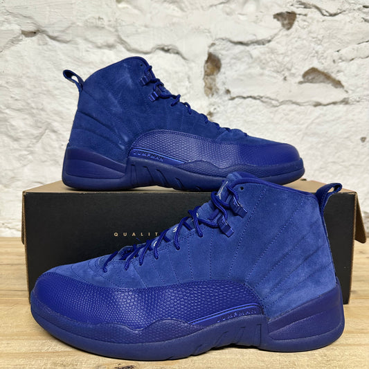 Air Jordan 12 Deep Royal Blue Sz 12