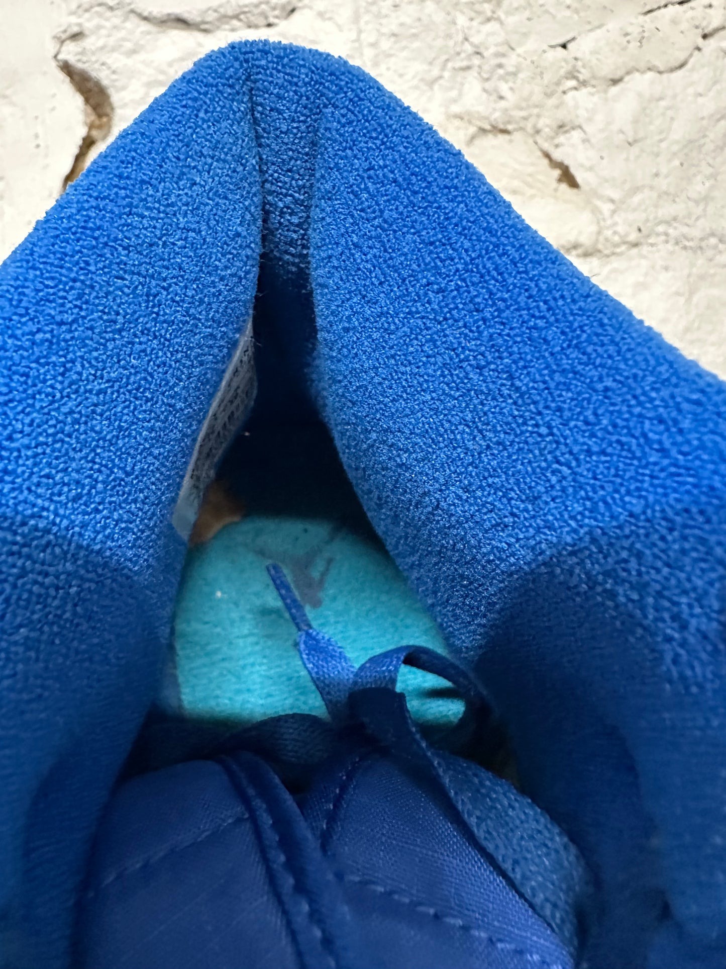 Air Jordan 1 High Sapphire Sz 12