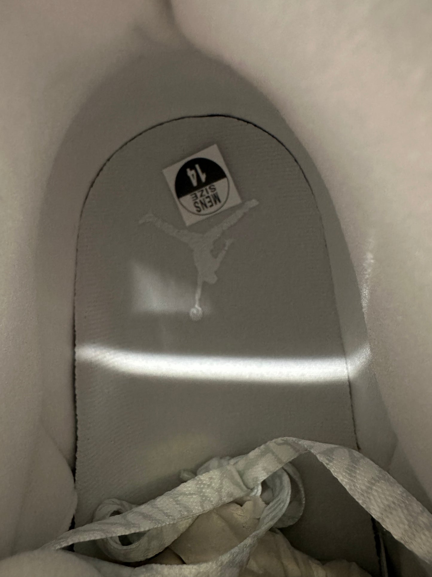 Air Jordan 3 Pure Money Sz 14 DS