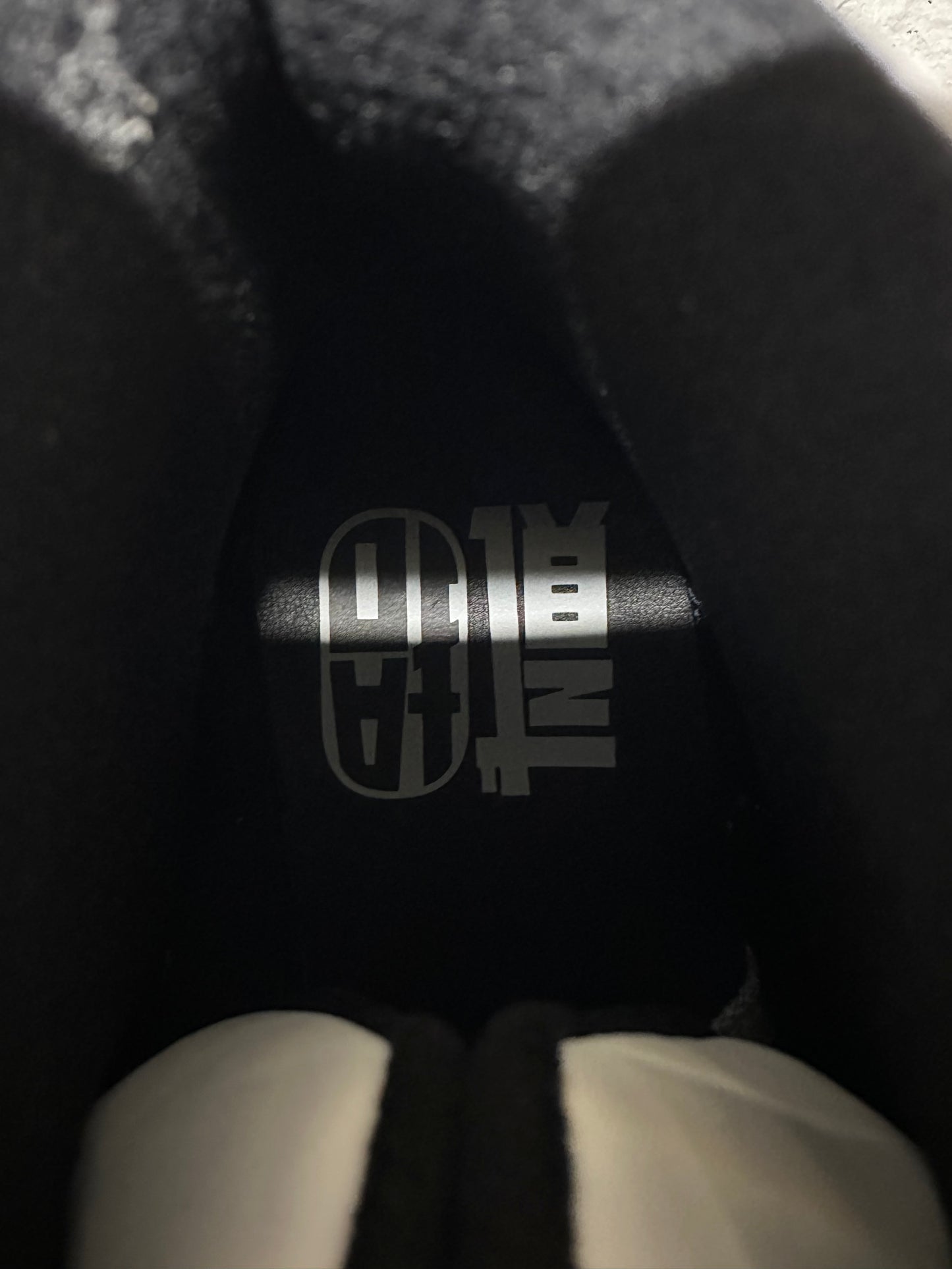 Air Jordan 12 Chinese New Year Sz 11 DS