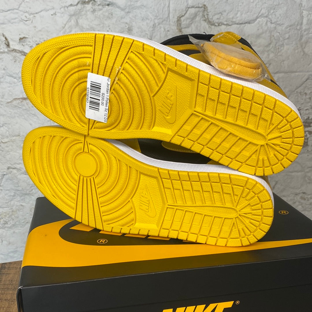 Air Jordan 1 Pollen Sz 12 DS