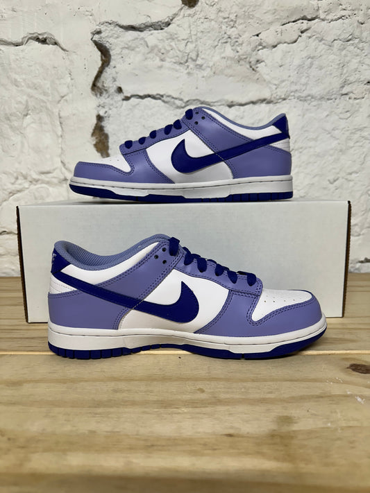 Nike Dunk Low Blueberry Sz 5Y