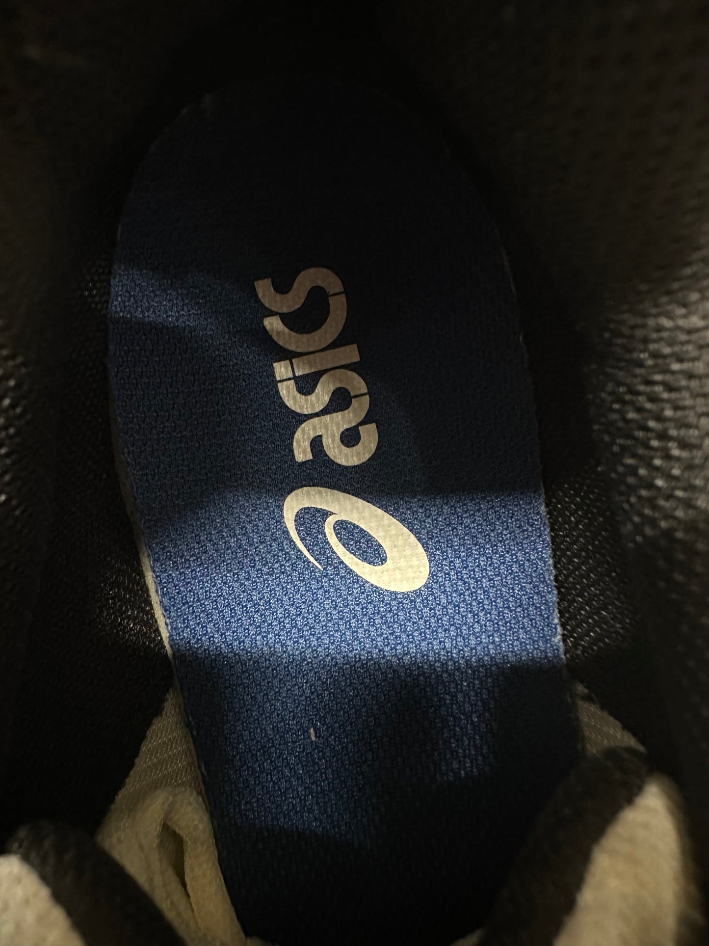 Asics Gel-1130 Cream Pure Silver Sz 10.5