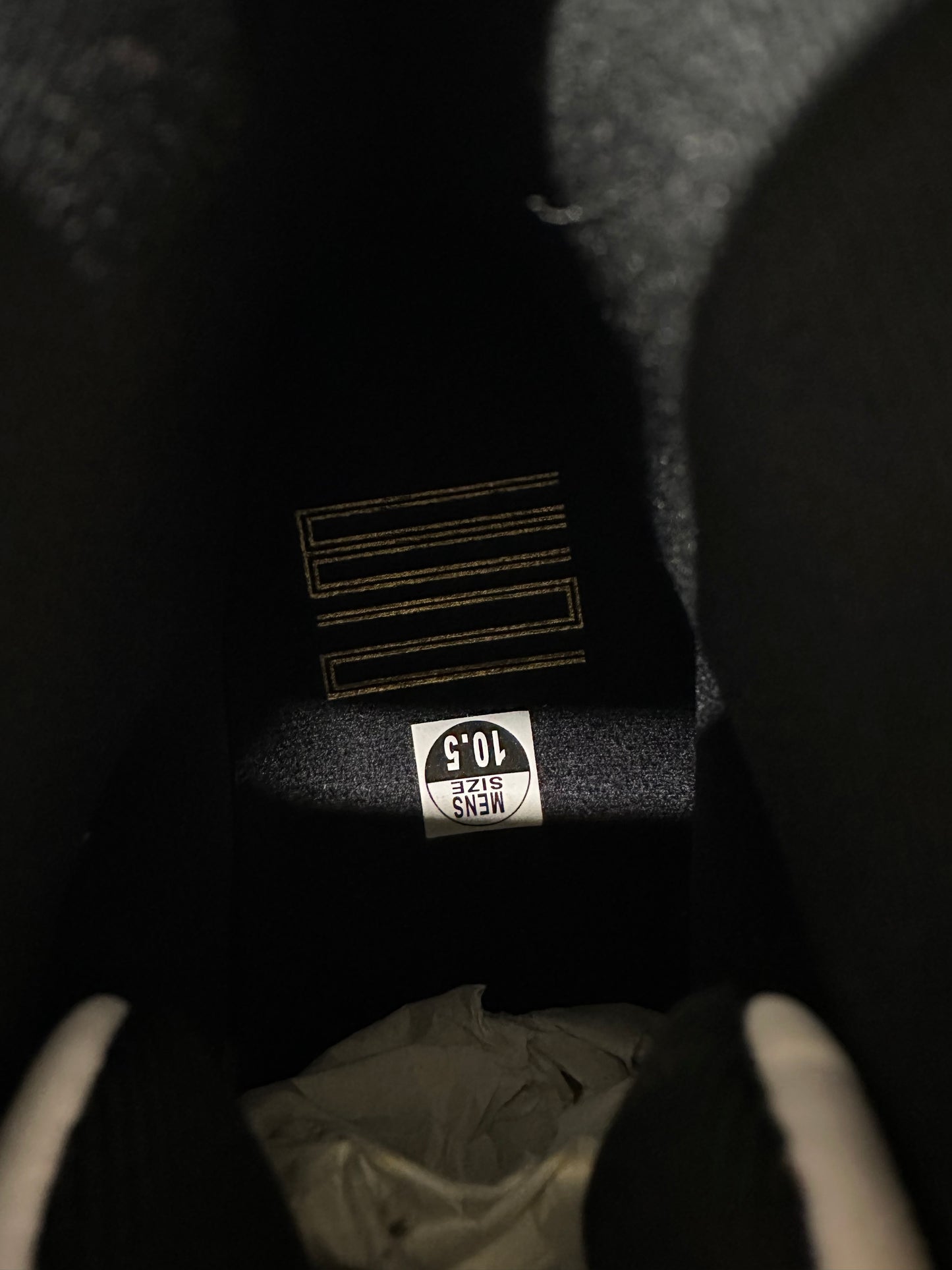 Air Jordan 11 High Gratitude Sz 10.5 DS