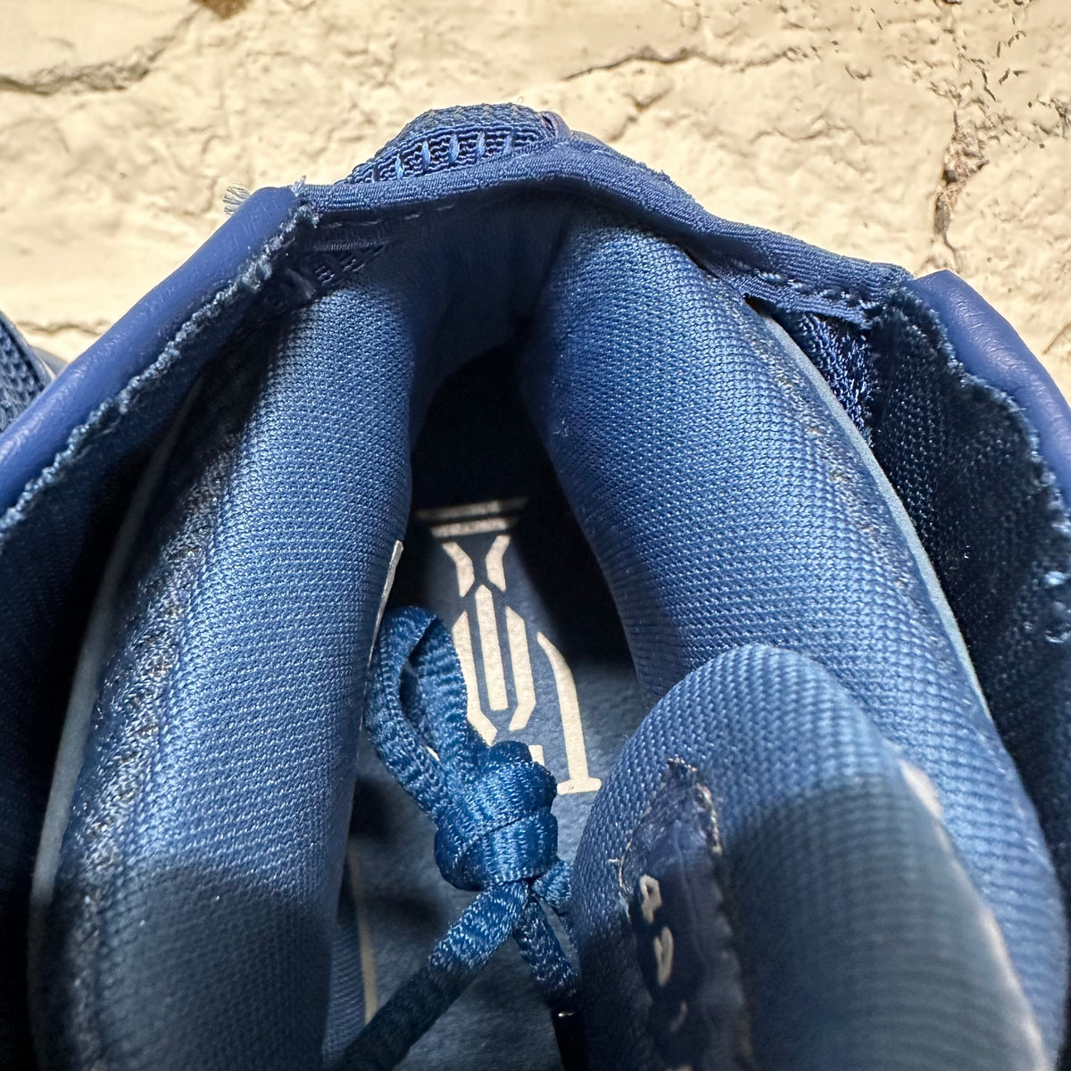 Air Jordan 16 Trophy Room French Blue Sz 9.5