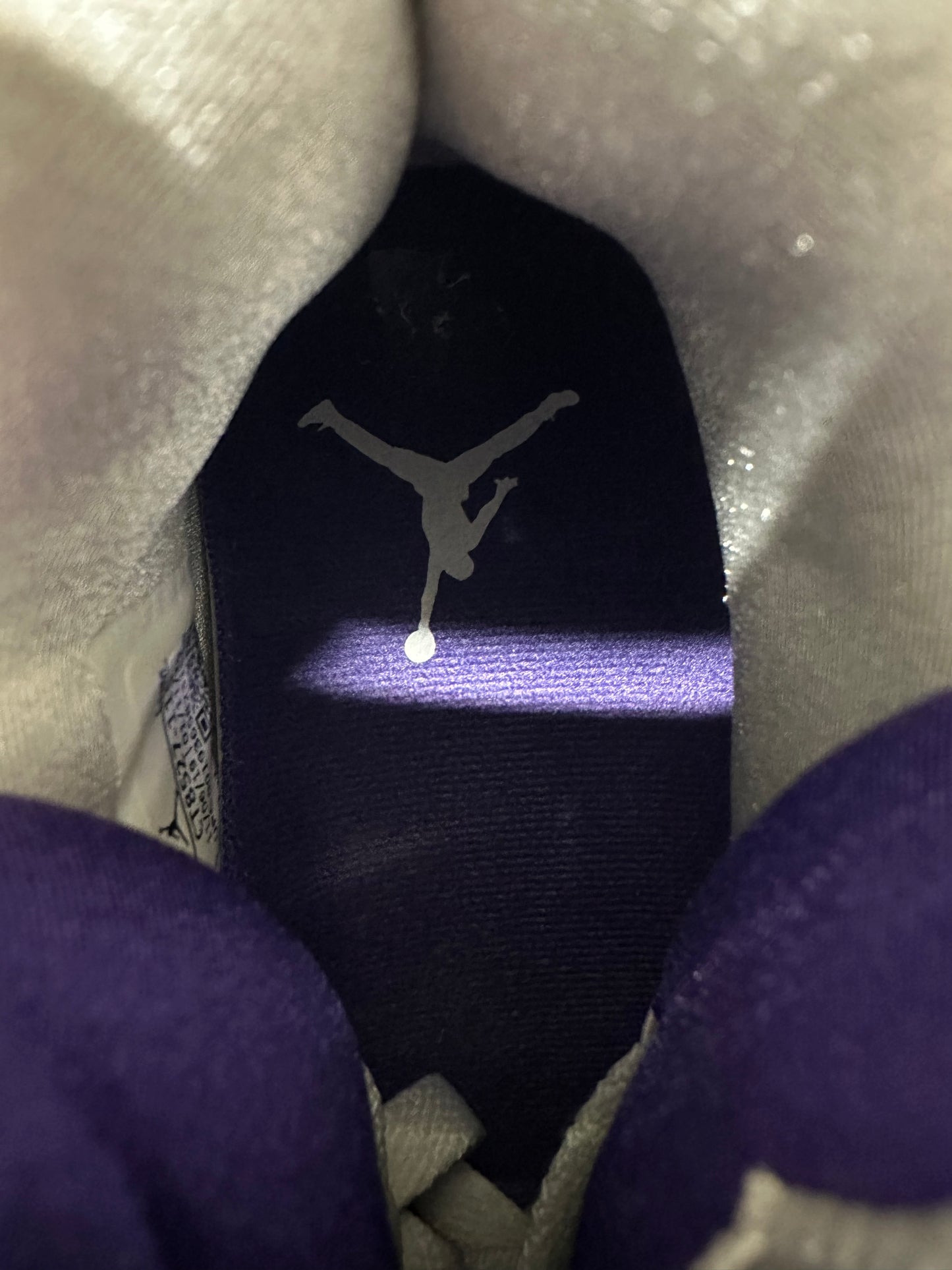 Air Jordan 4 Metallic Purple Sz 9.5
