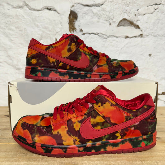 Nike SB Dunk Low The Wizard of Oz Poppy Field Sz 13