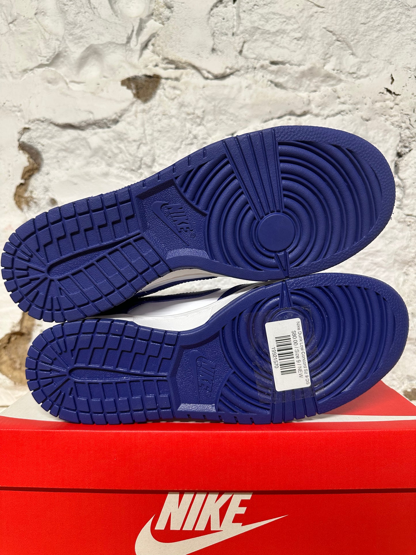 Nike Dunk Low Concord Sz 9 DS