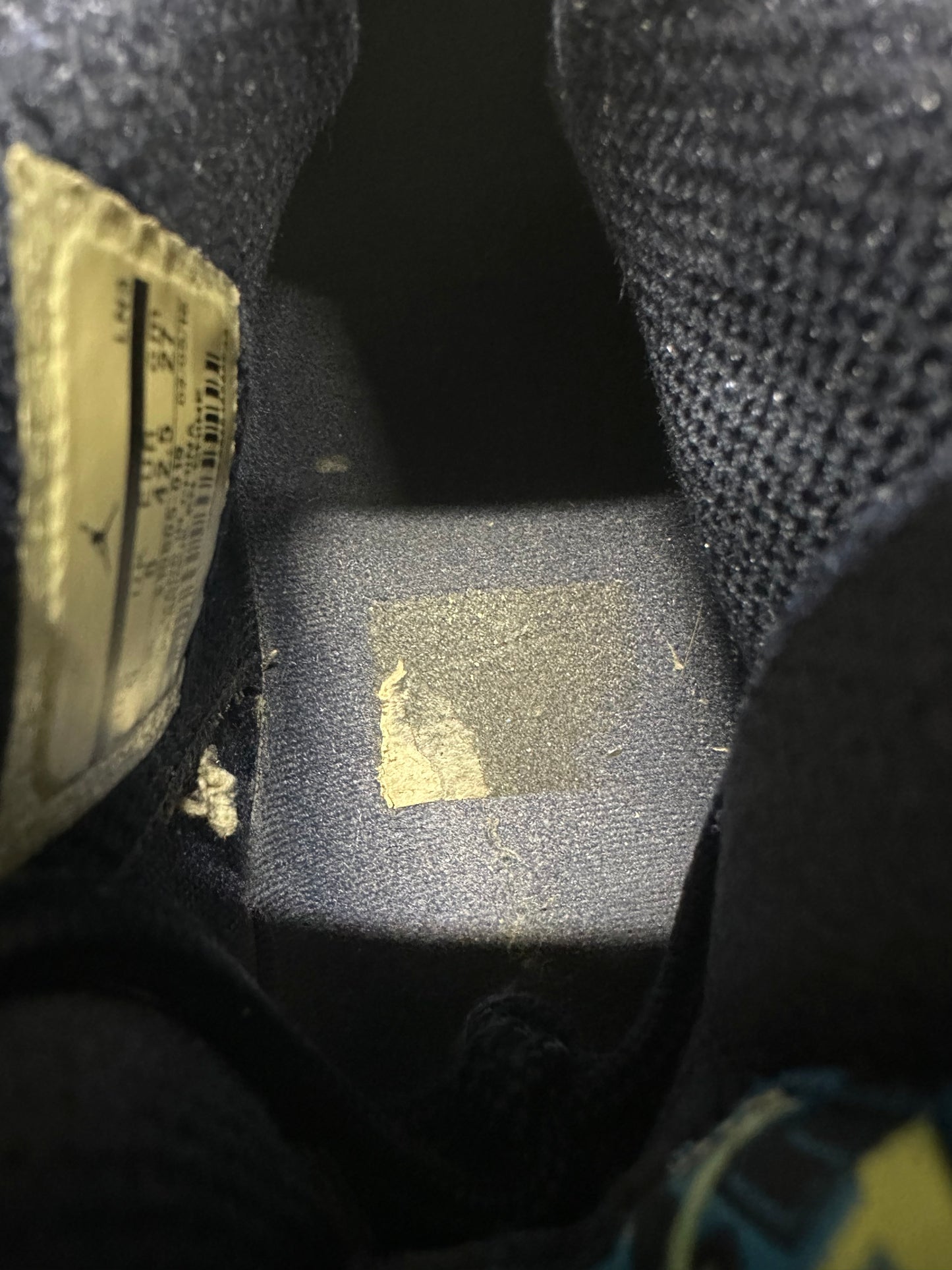 Air Jordan 10 Rio Sz 9