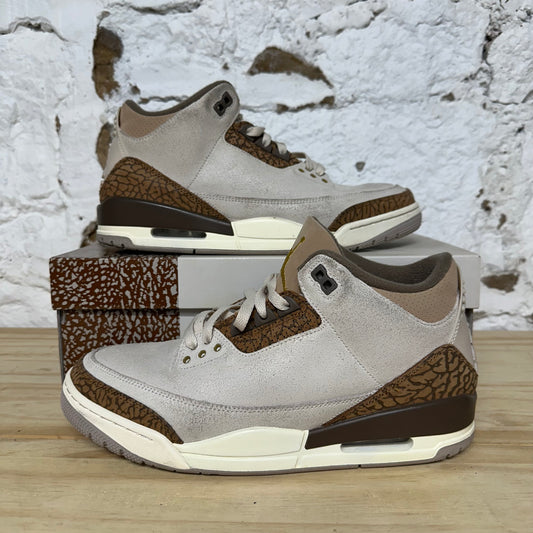 Air Jordan 3 Palomino Sz 10