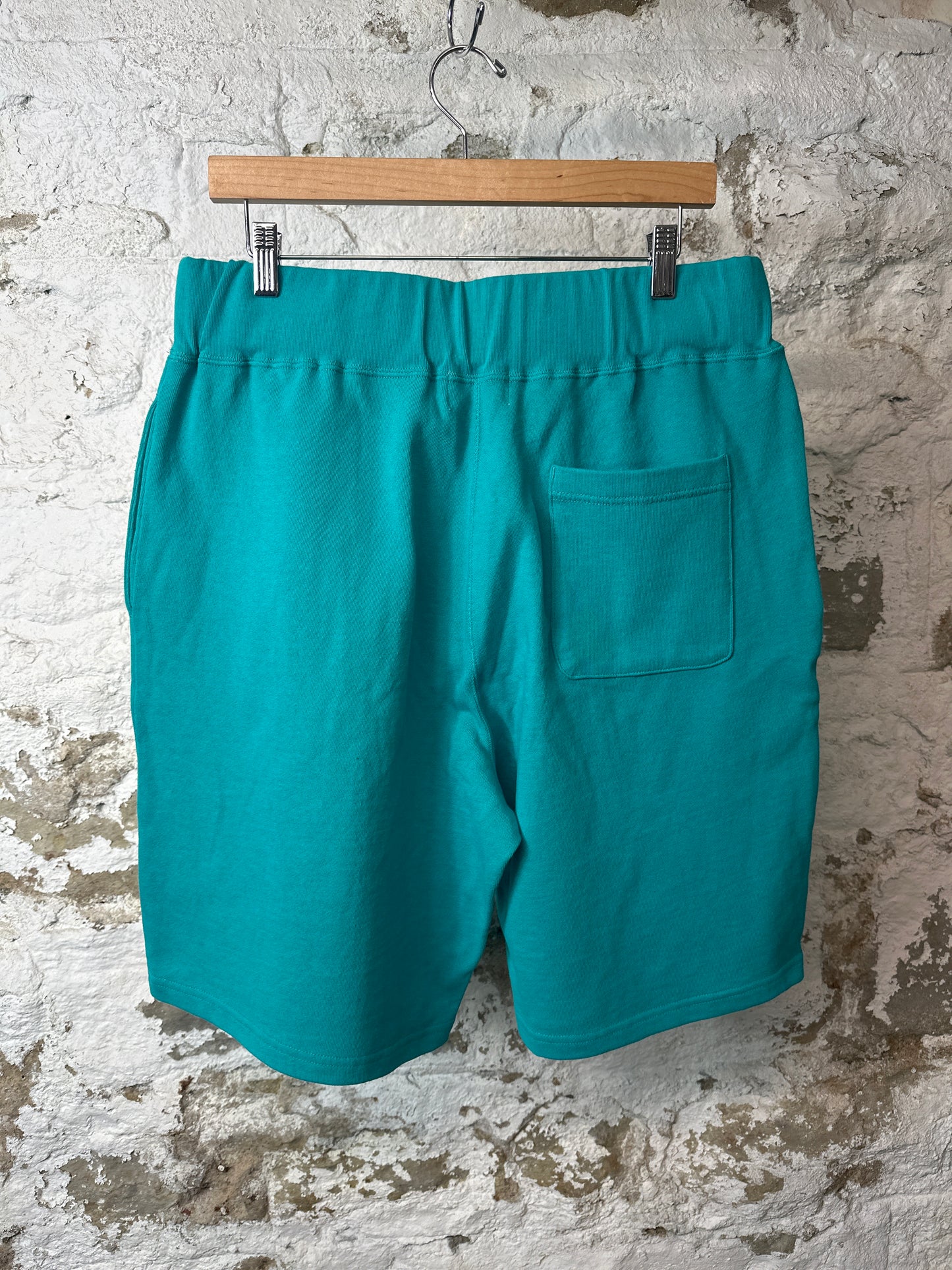 Bape Teal Shark Shorts Sz L