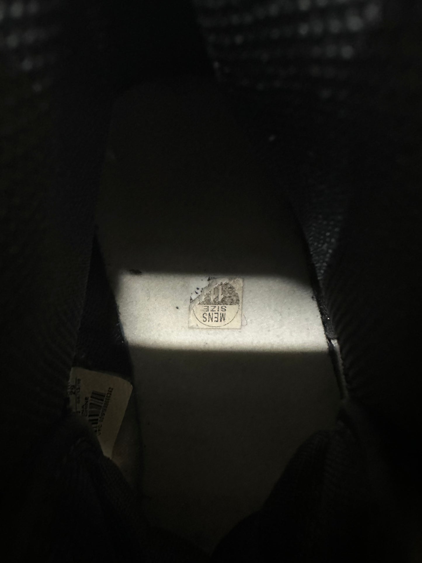 Air Jordan 1 High Pine Green Sz 11