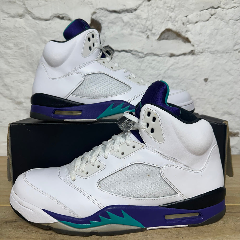 Air Jordan 5 Grape (2013) Sz 12