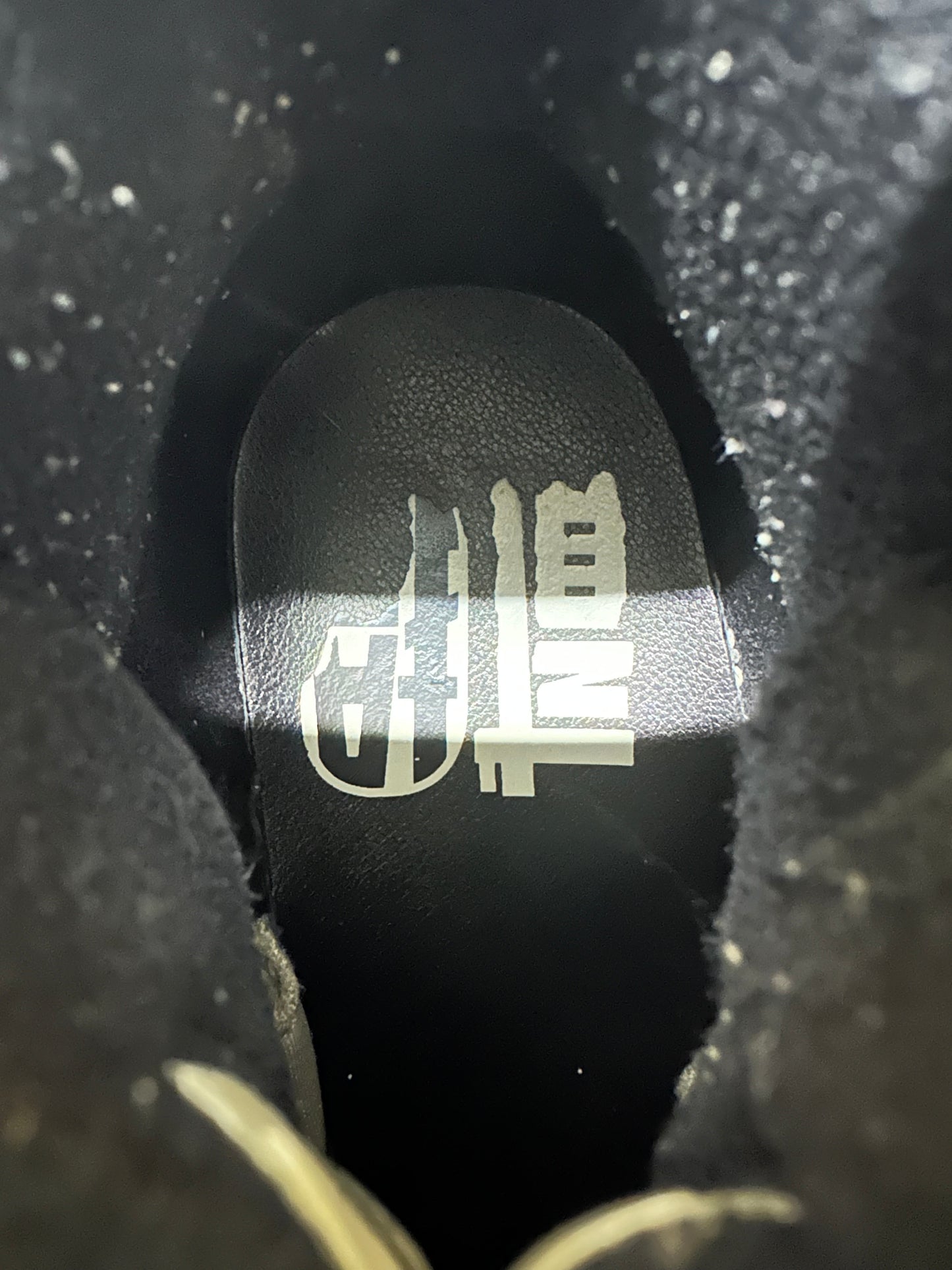 Air Jordan 12 CNY Sz 9.5