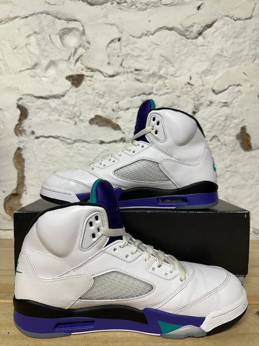 Air Jordan 5 Grape Sz 10.5