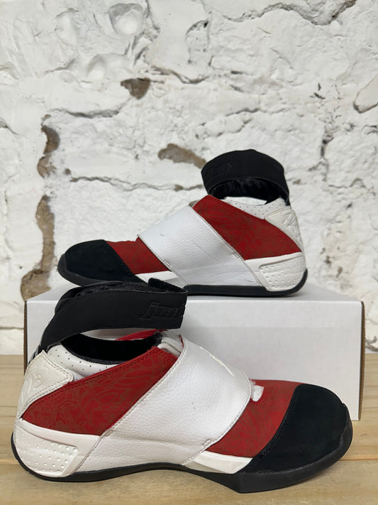 Air Jordan 20 Midwest (2005) Sz 8