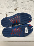 Air Jordan 12 French Blue Sz 10
