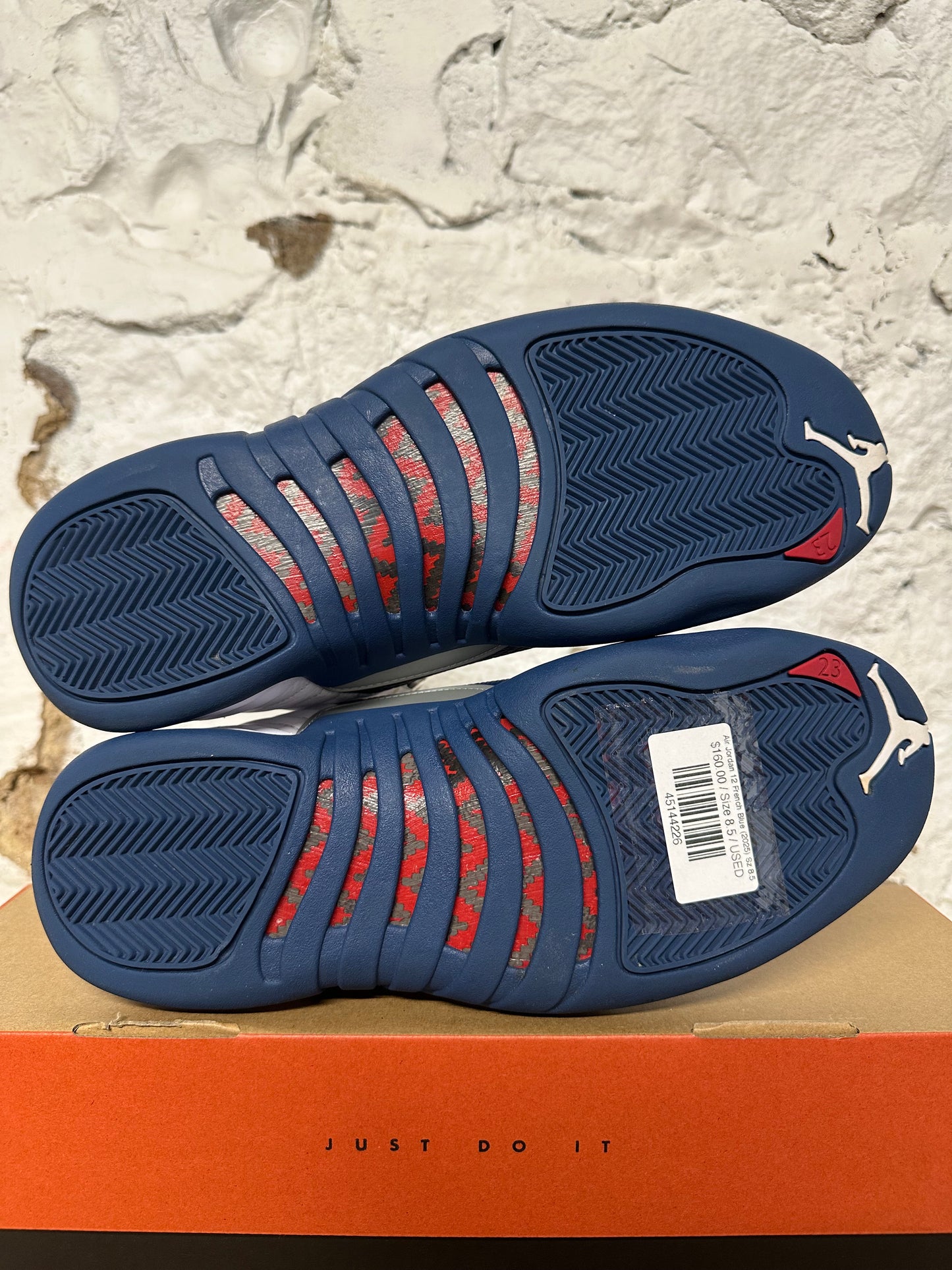 Air Jordan 12 French Blue (2025) Sz 8.5