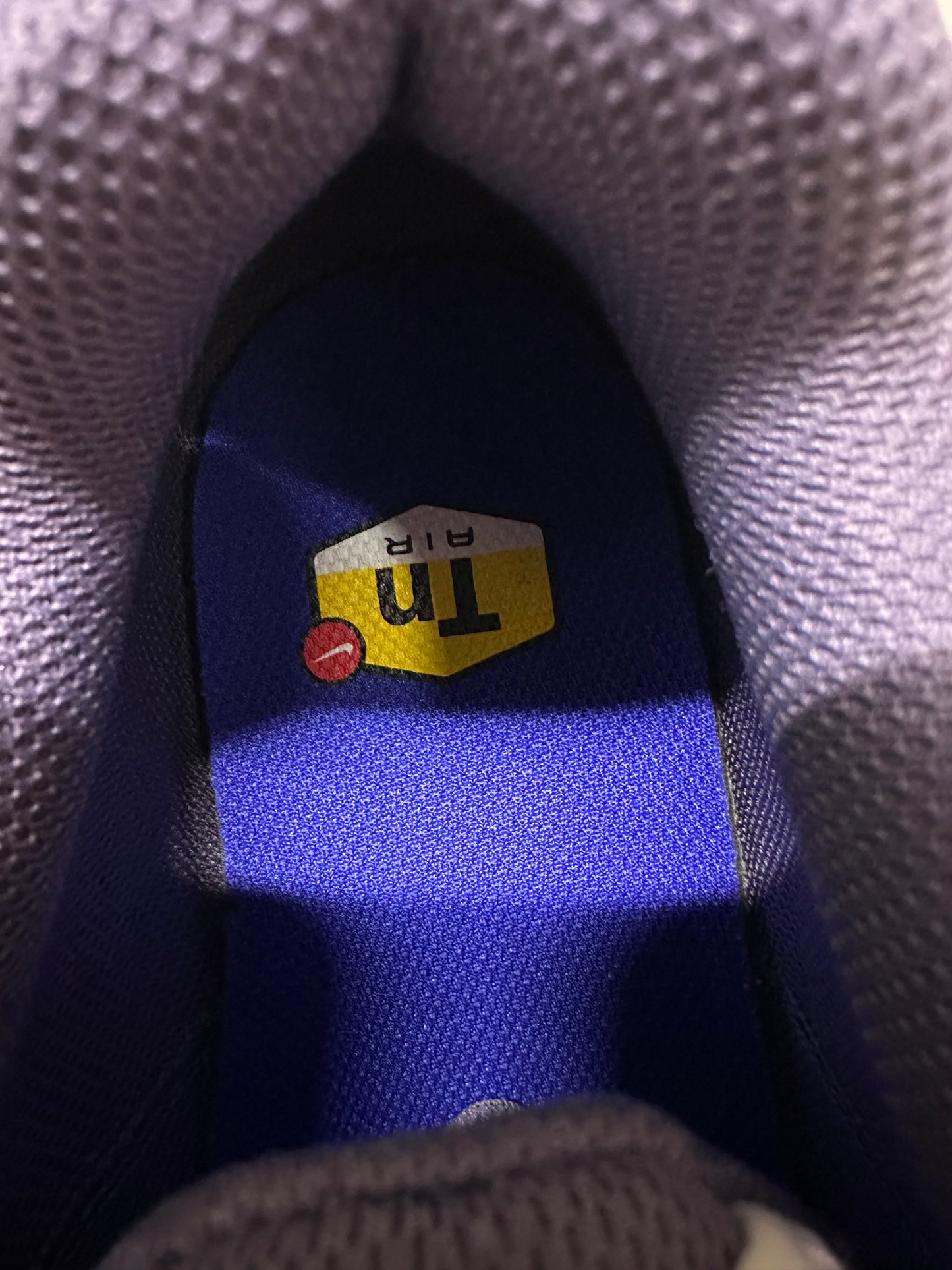 Nike Air Max Plus Drift Concord Sz 11