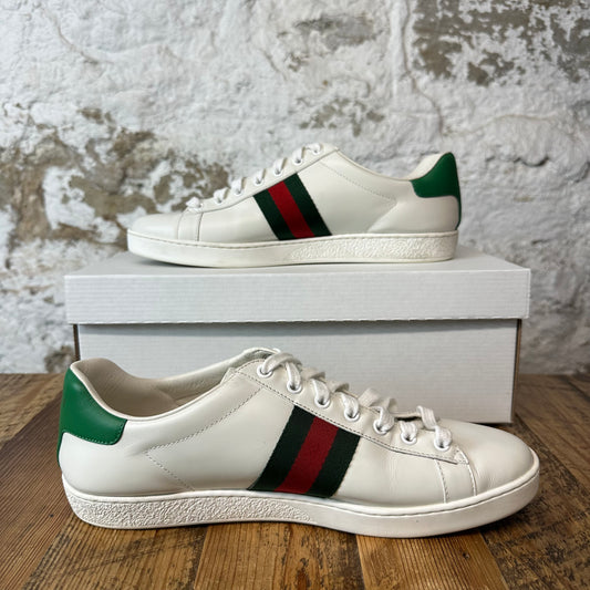 Gucci Ace Pig Cat White Sneaker Sz 8 No Box