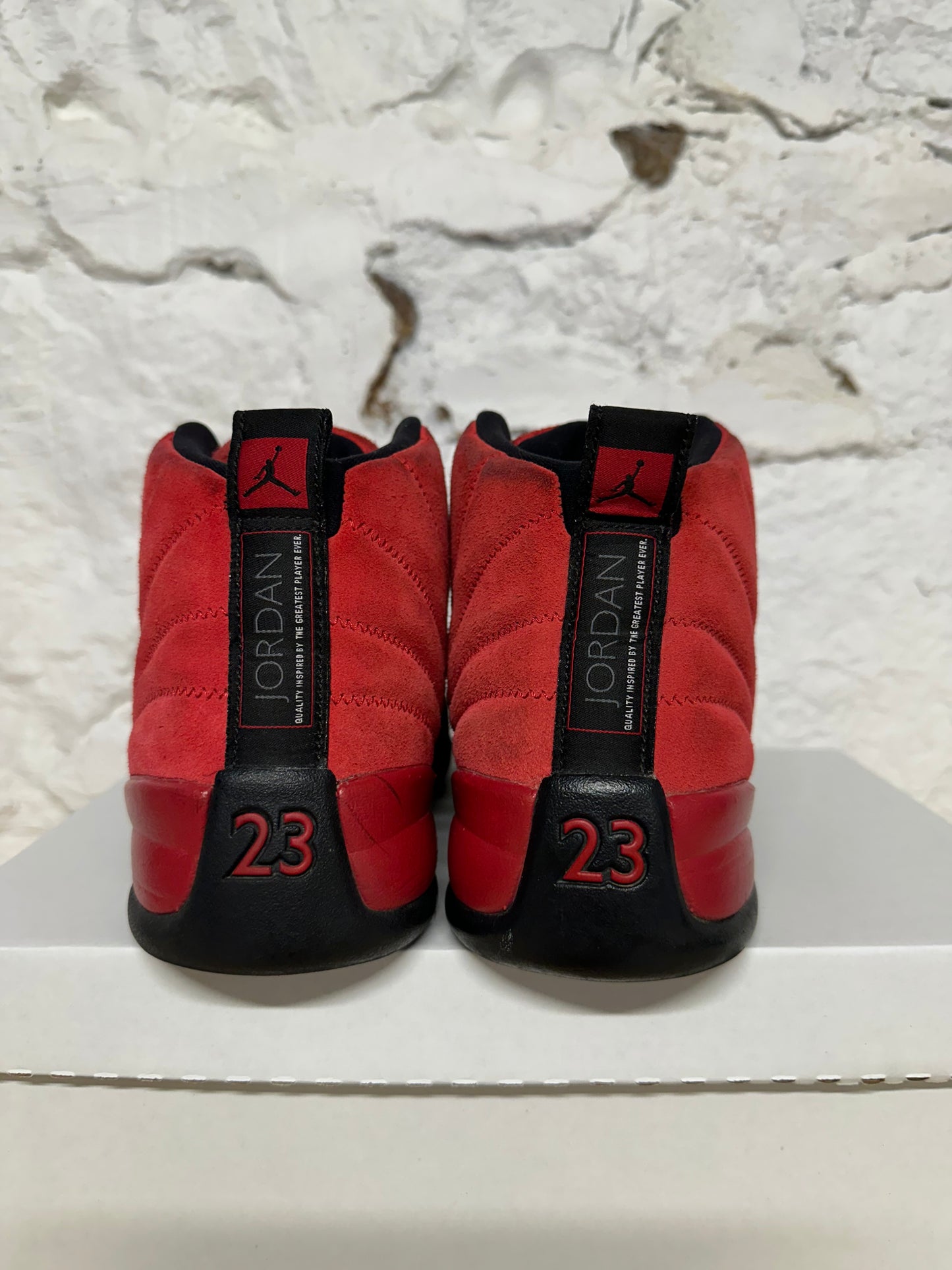Air Jordan 12 Reverse Flu Game Sz 10.5