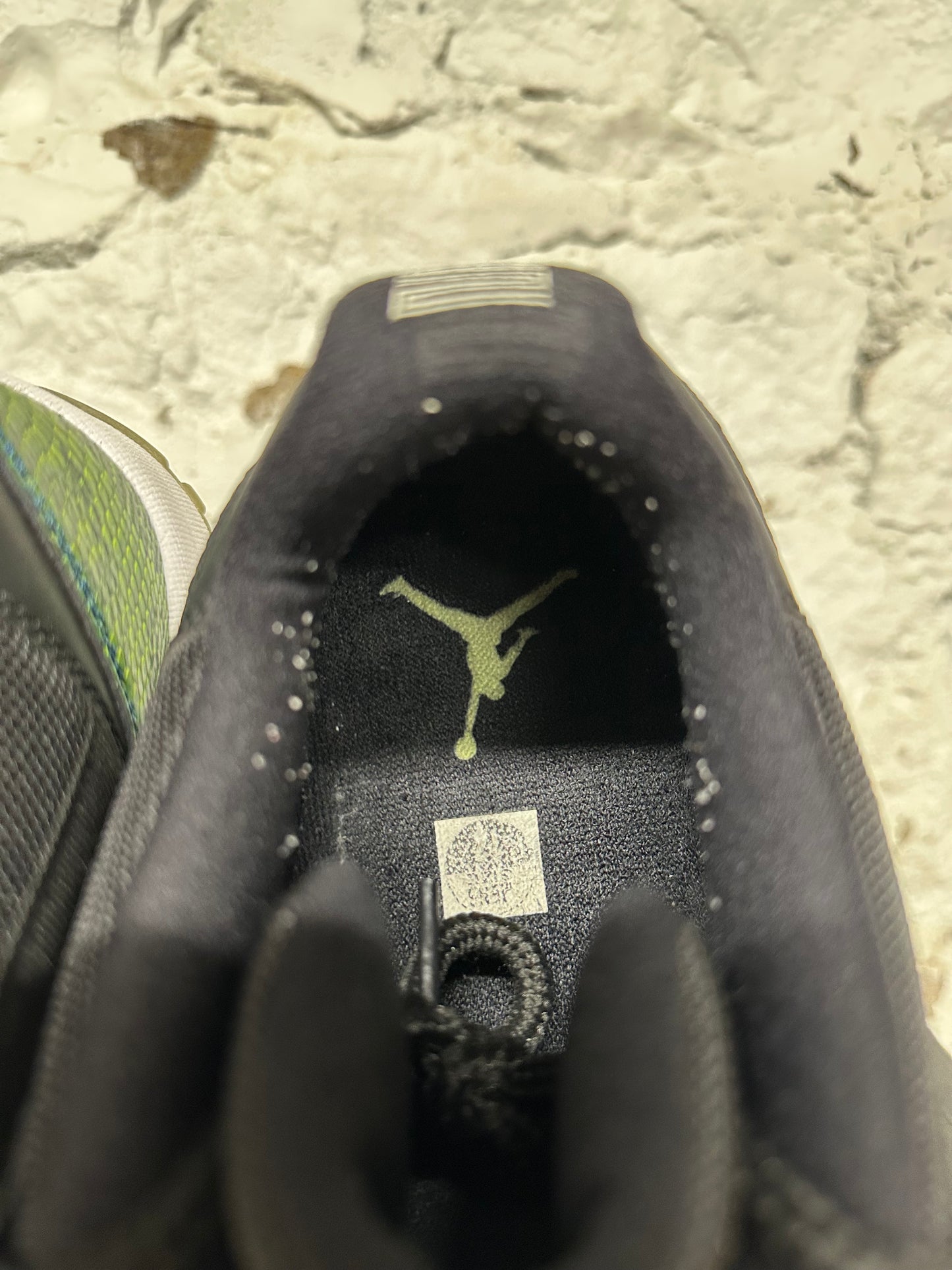 Air Jordan 11 Low Green Snakeskin Sz 12