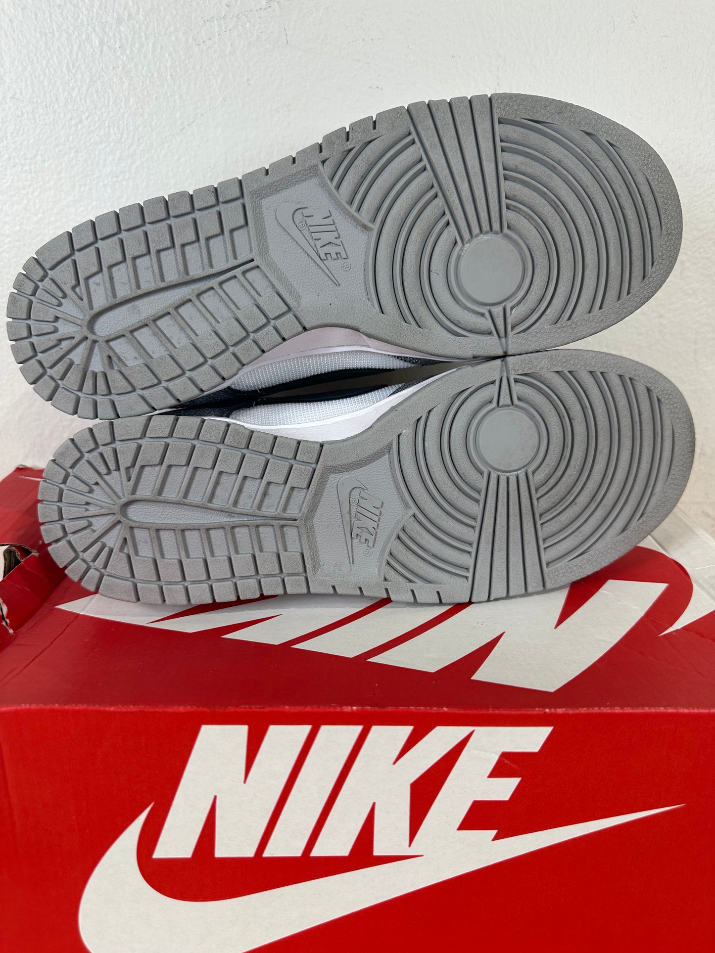 Nike Dunk Low Golden Gals Metallic Silver Sz 8.5(10W)