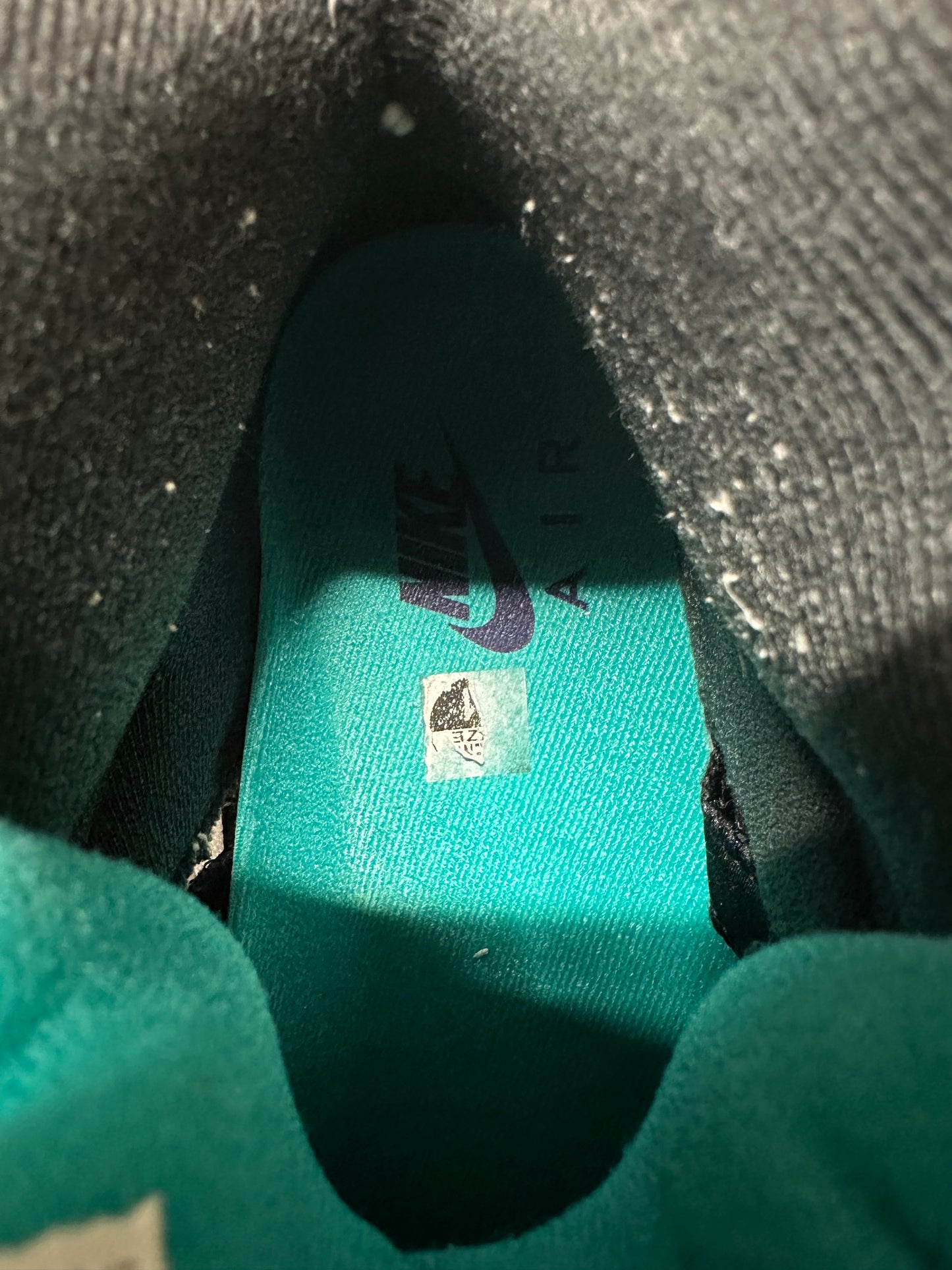 Air Jordan 5 Grape Sz 11