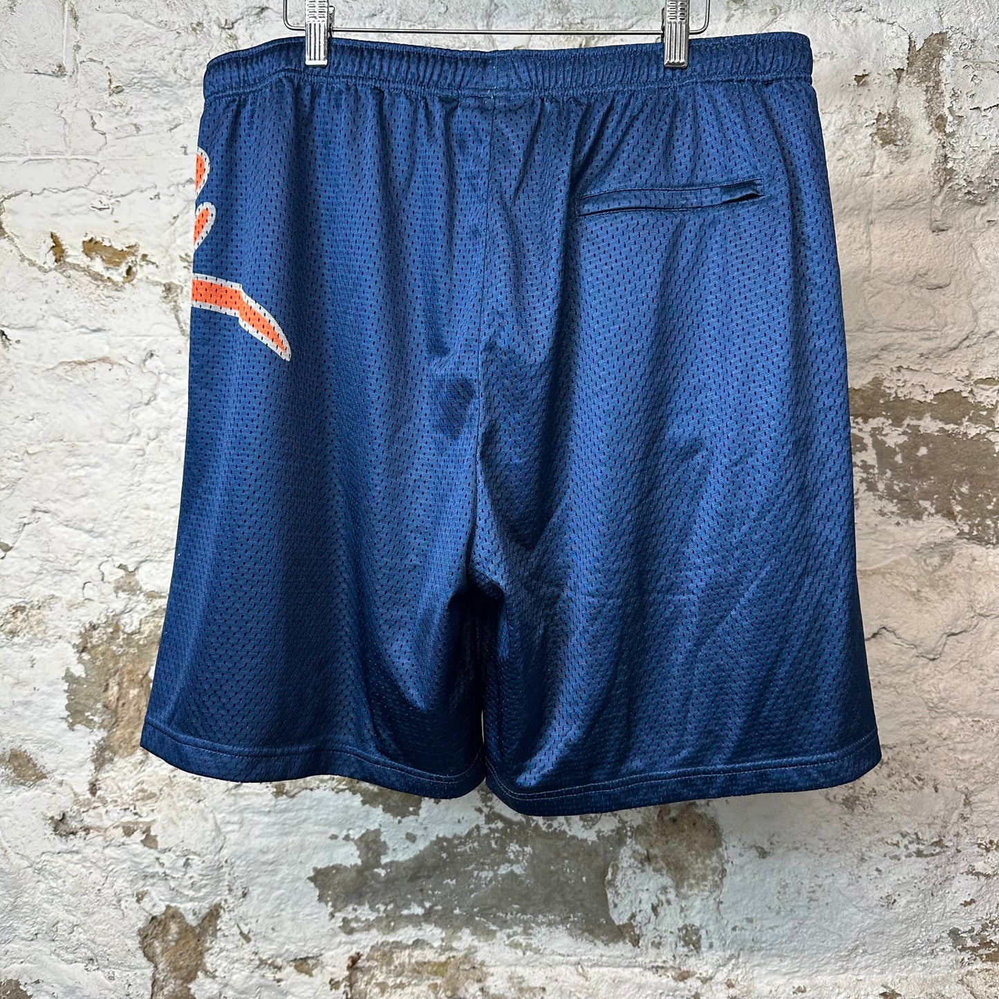 Supreme Big Script Mesh Shorts Blue Sz L