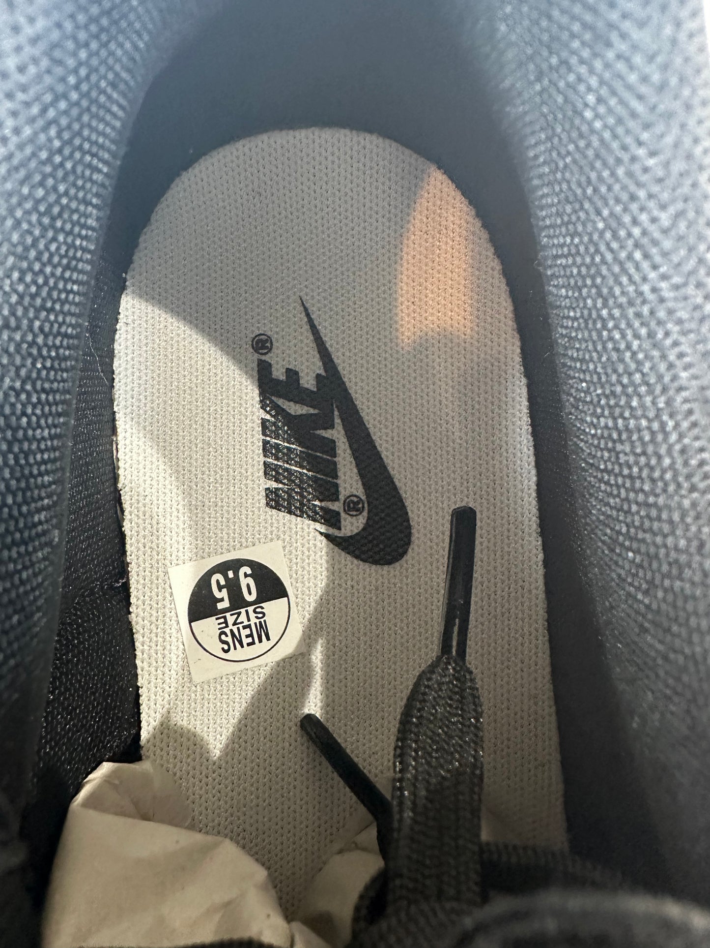 Nike Dunk Low Panda Sz 9.5 DS