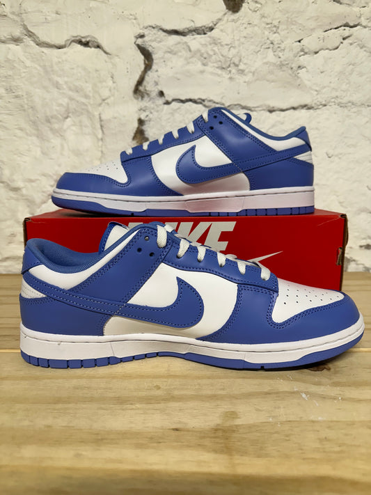 Nike Dunk Low Polar Blue Sz 11.5 DS