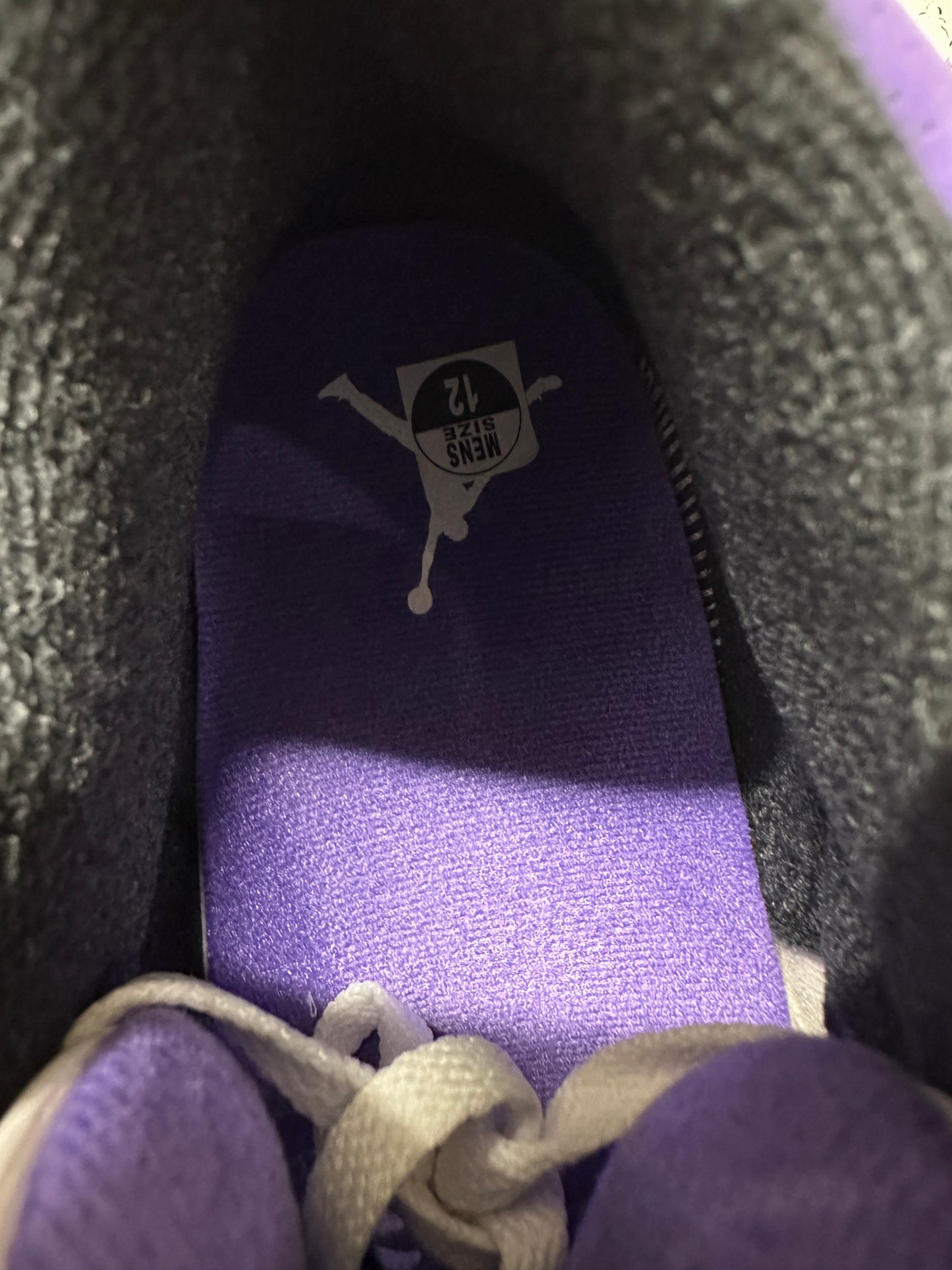 Air Jordan 3 Dark Iris Sz 12