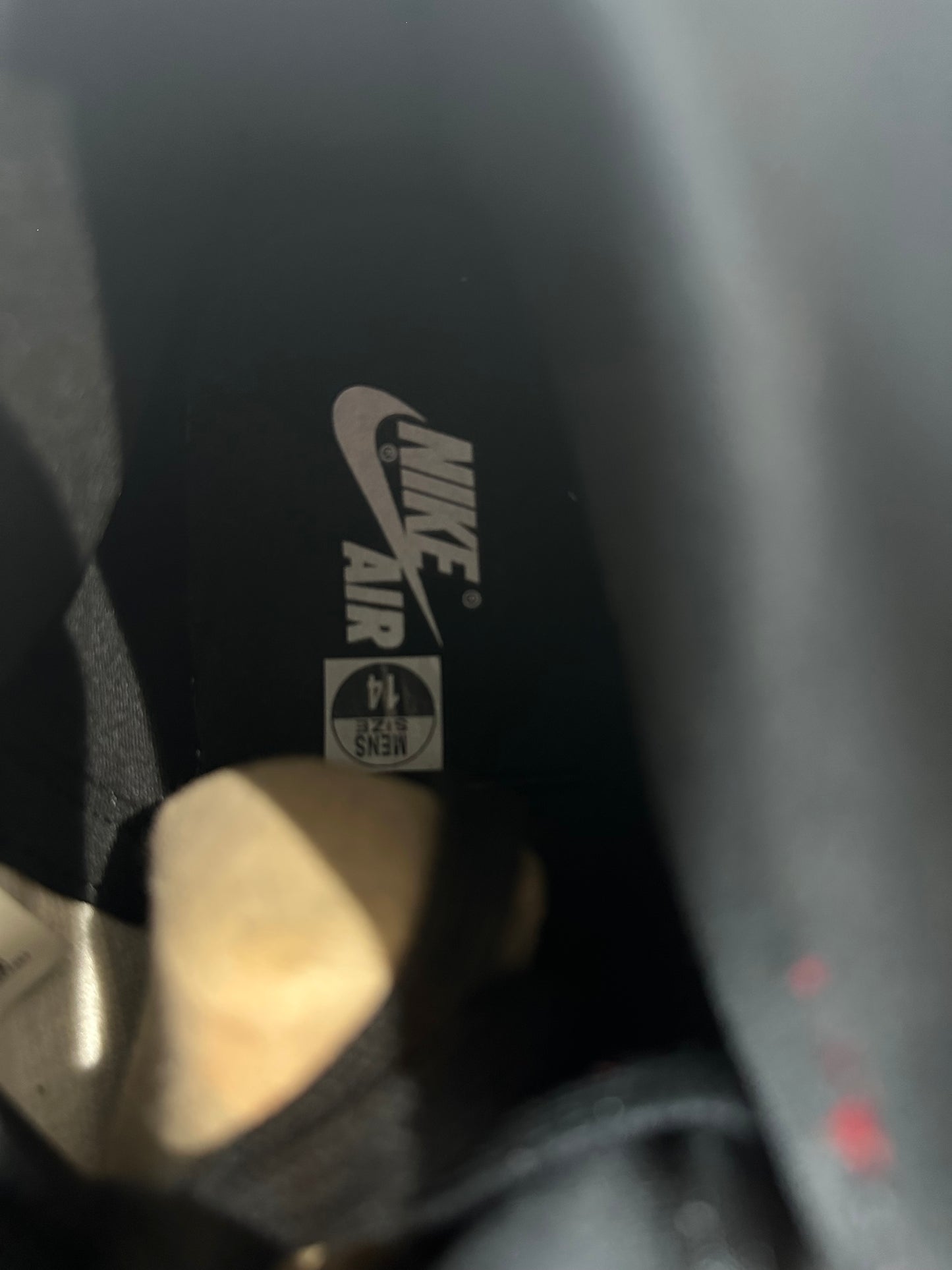 Air Jordan 1 High Homage to Home Sz 14 DS