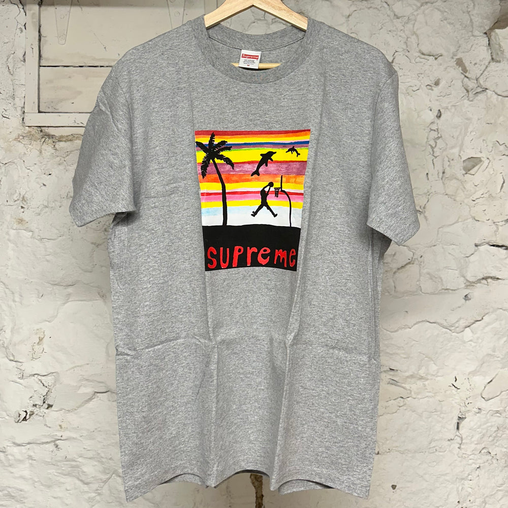 Supreme Dunk Grey T-Shirt Sz M DS