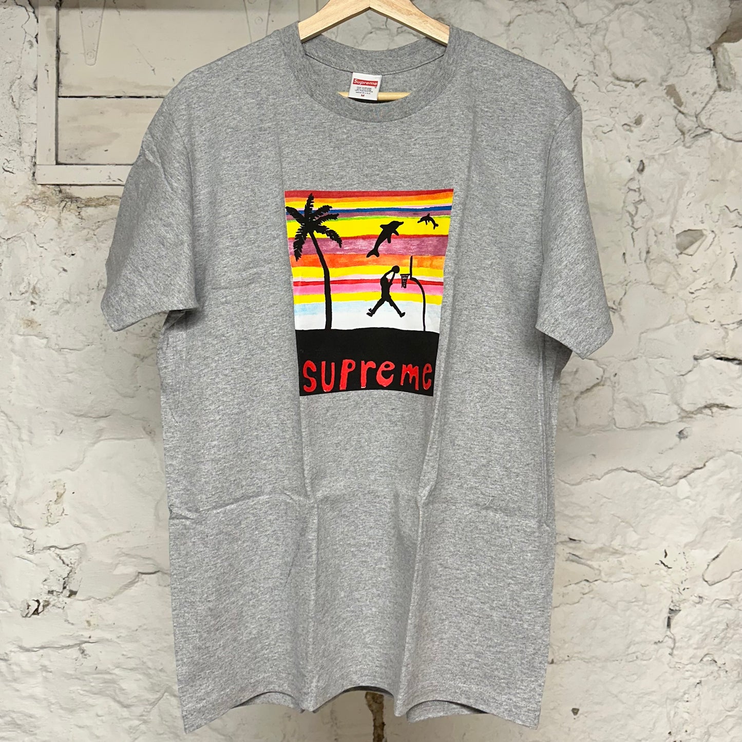 Supreme Dunk Grey T-Shirt Sz M DS