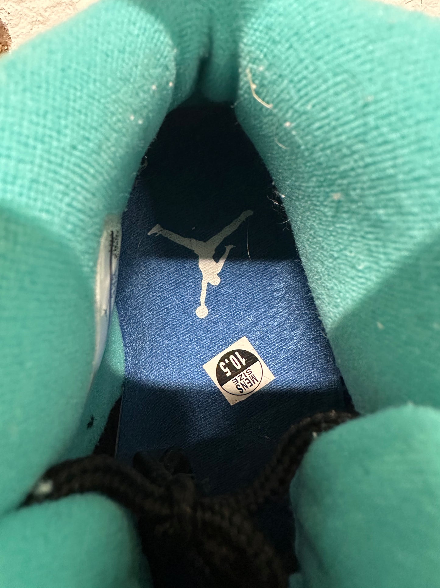 Air Jordan 10 Lady Liberty Sz 10.5