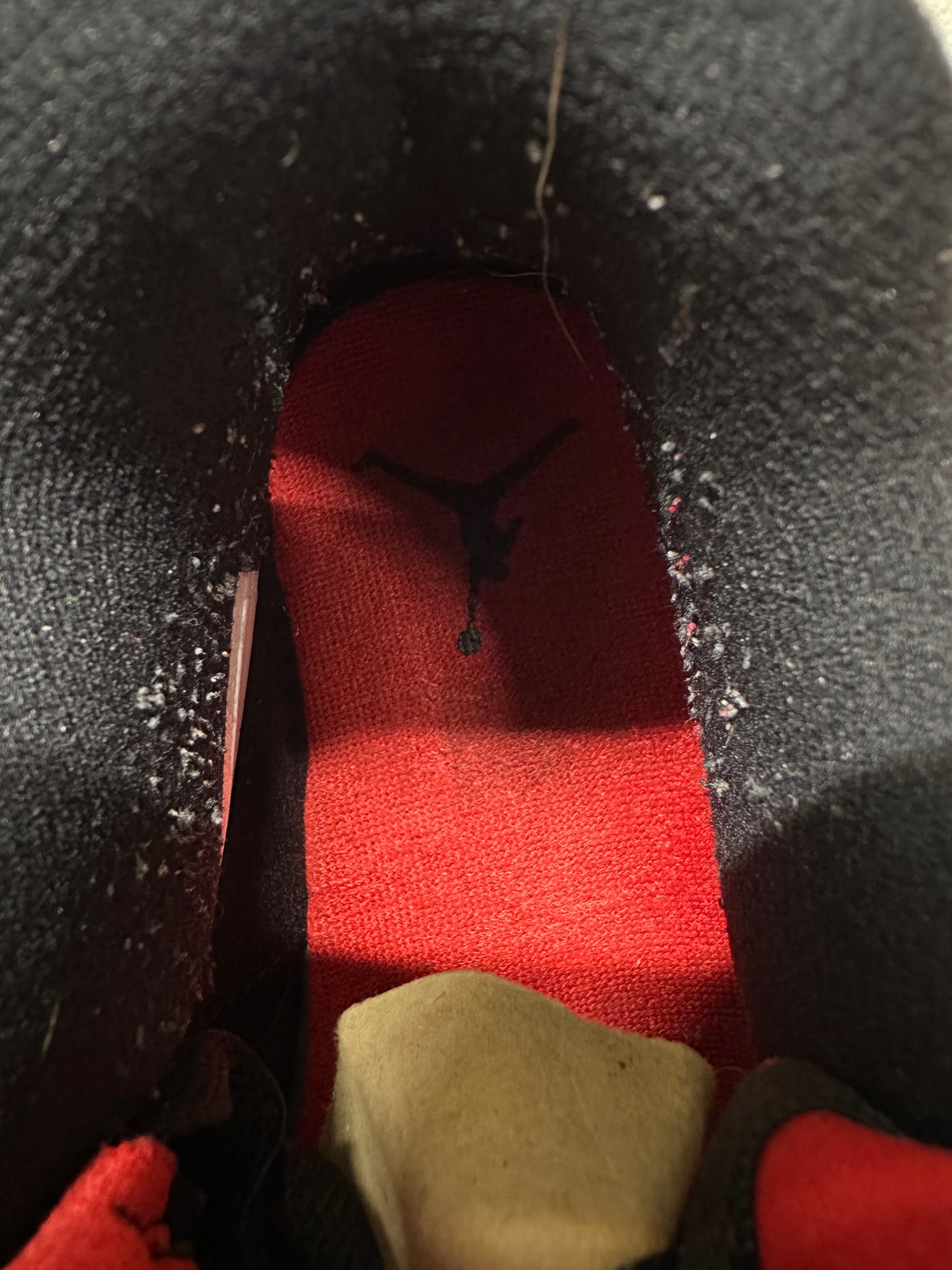 Air Jordan 4 Raptors Sz 10