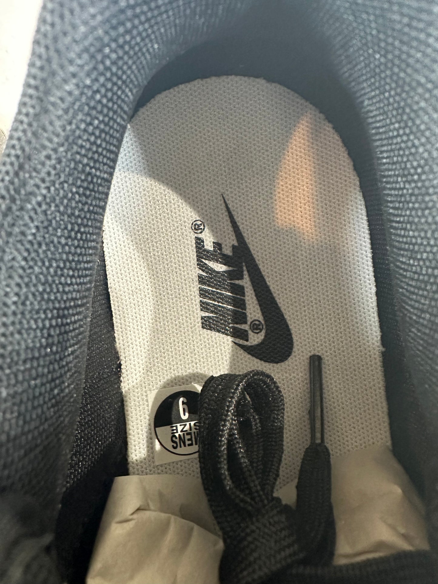 Nike Dunk Low Panda Sz 9 DS